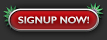 Signup Now