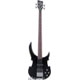 Bass Guitars
