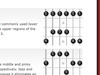 Major Scale Patterns