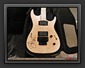 Steve Stevens Signature