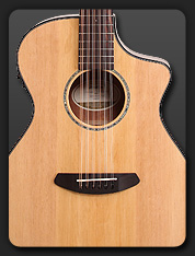 Breedlove Pursuit 12 String