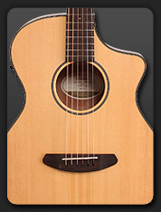 Breedlove Discovery