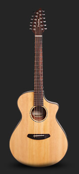 Breedlove Purusit 12 String