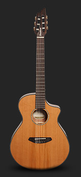 Breedlove Pursuit Nylon