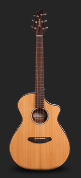 Breedlove Pursuit Concert