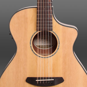 Breedlove Pursuit 12